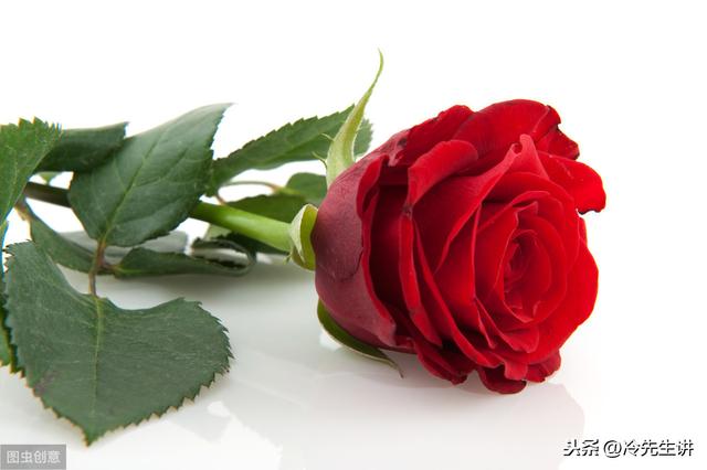 6个国家关于玫瑰花的不同的传说