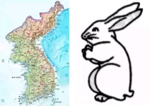各国地图看起来像什么？日本竟然称日本岛像一条龙！